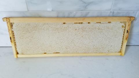 Full Honey Frame